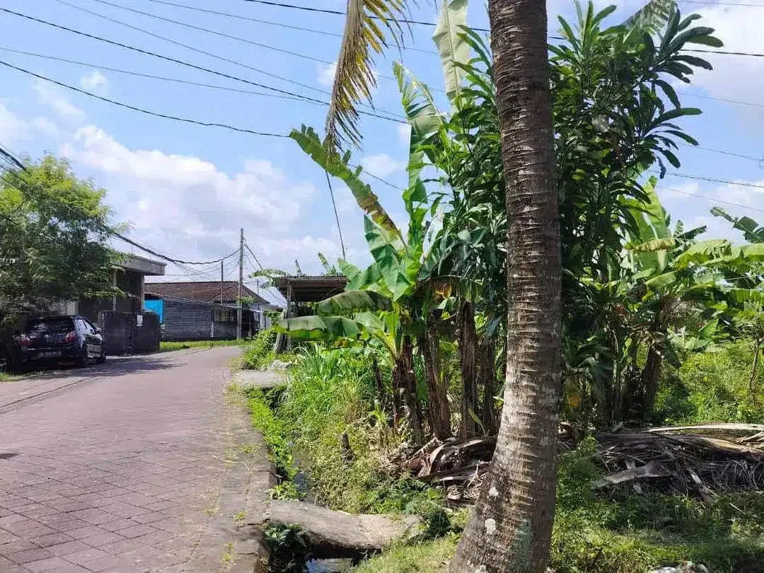 Dijual tanah dikawasan pariwisata Bedugul - Image 5 of 5