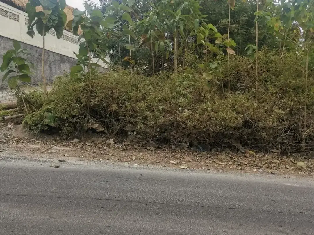 Lahan 28,5 Are Strategis Kawasan Pariwisata Dekat Pantai Bingin Pecatu Bali Cocok untuk Villa dan Investasi - Image 2 of 10