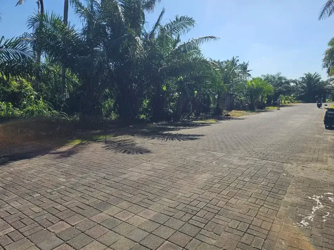 Tanah view sawah Greenlot munggu - Image 2 of 10