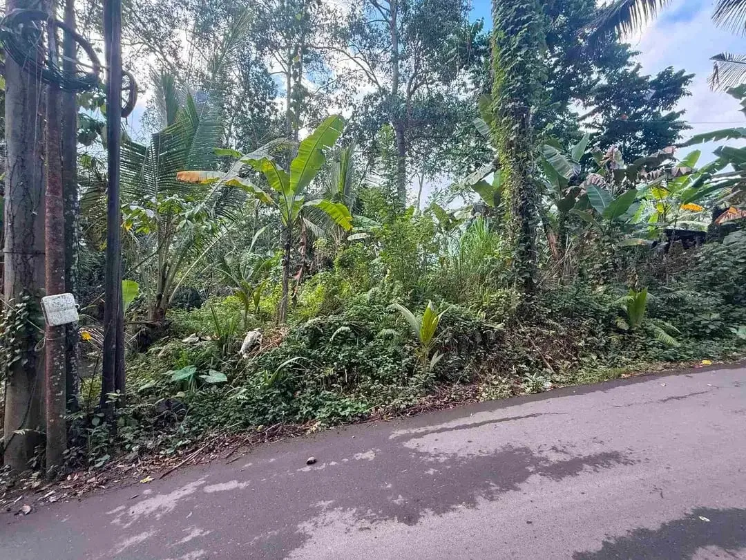 Tanah Premium Payangan View Jungle Dekat Resort - Image 7 of 10