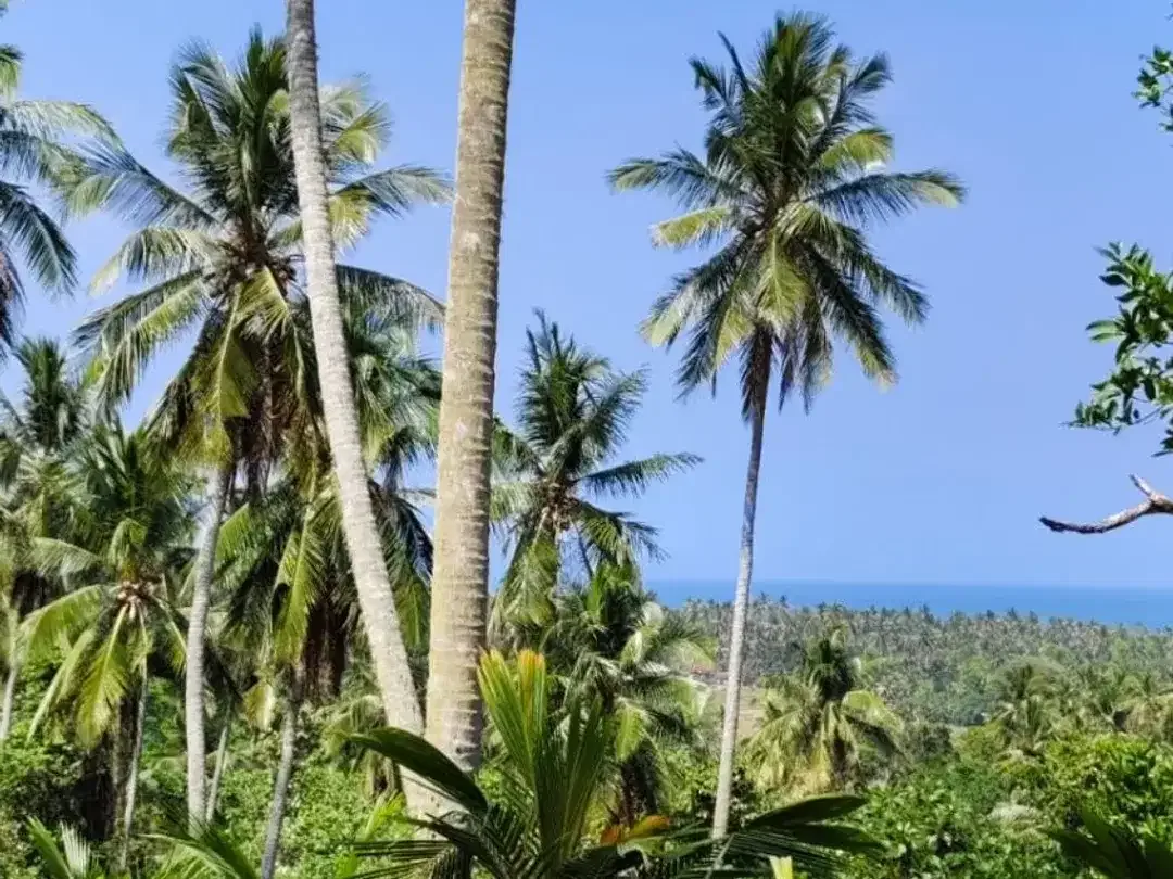 DIJUAL TANAH LUAS – BALIAN BEACH, TABANAN - Image 1 of 10