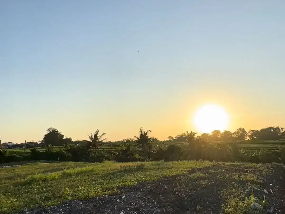 Tanah KEDUNGU siap bangun 2 KM Pantai - Image 6 of 10