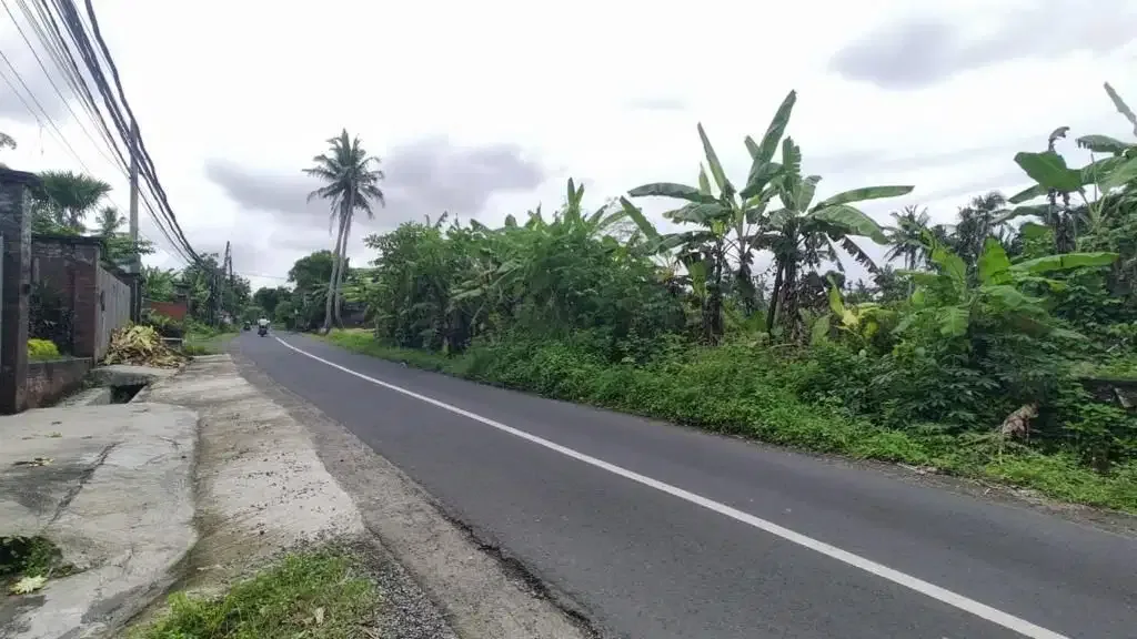 Tanah 690m2 View Sawah di Jalan Utama pantai Kedungu - Image 8 of 10