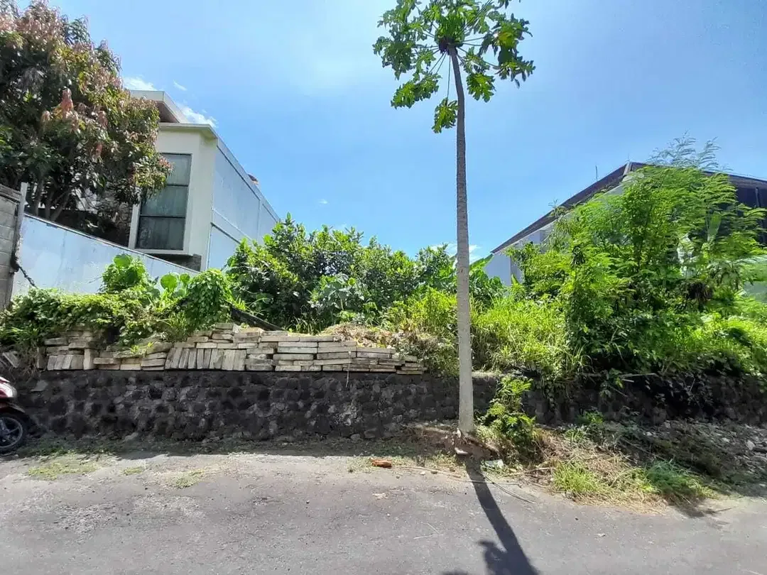 JUAL TANAH SHM PINGGIR PANTAI DI KETEWEL - Image 2 of 7