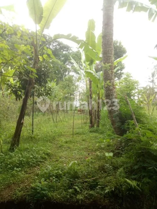 Dijual Tanah 22 Are Valley View di Ubud Bali Cocok Untuk Perumahan - Image 2 of 3