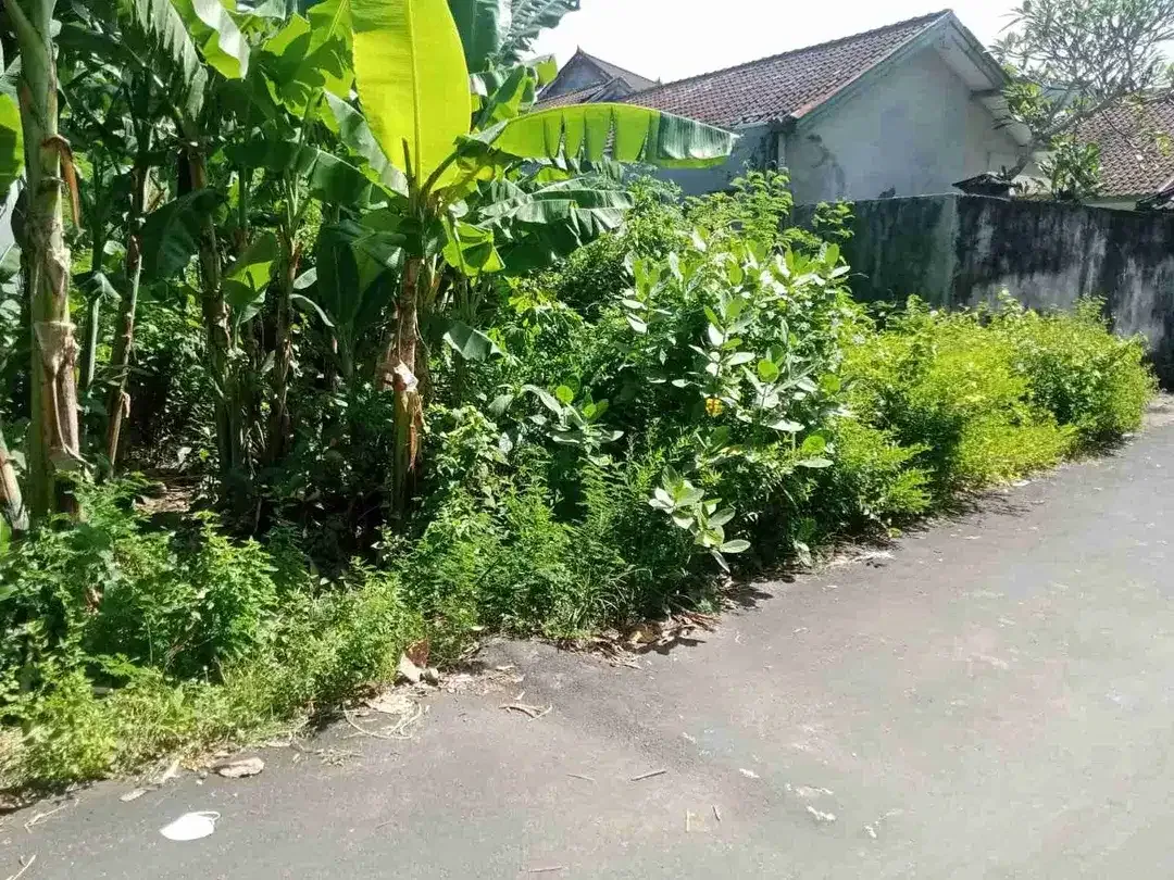Tanah 200m² Dekat Kampus Udayana Jimbaran Bali - Image 4 of 5