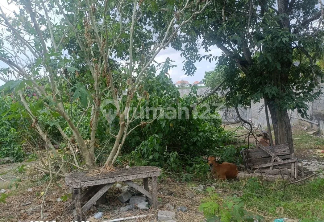 Tanah Bagus Cocok Untuk Villa Komersil - Image 4 of 4