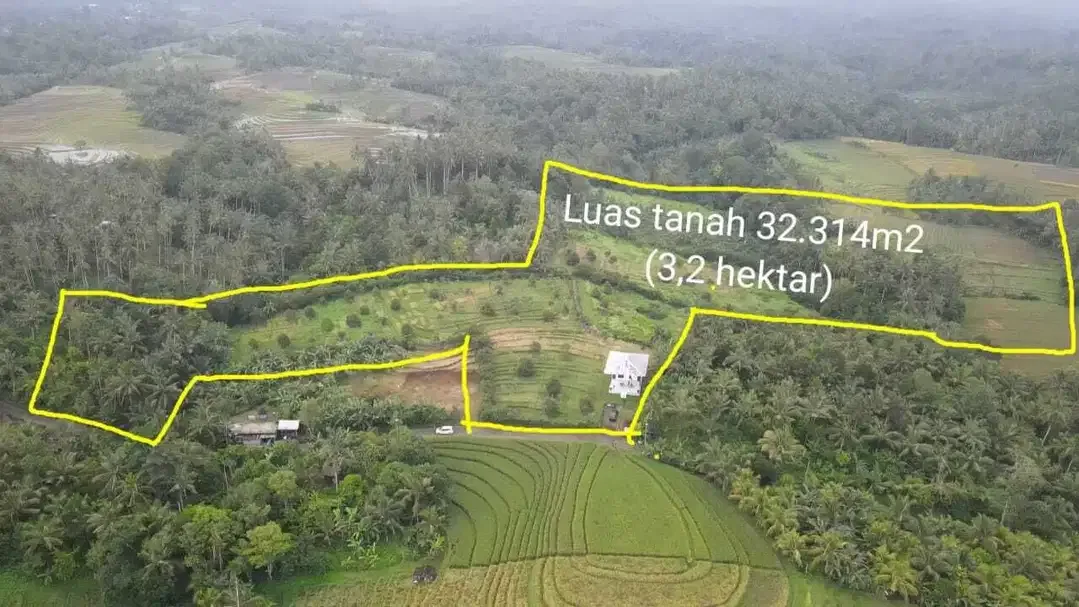 Kebun Durian View Sawah Terasering di Tabanan - Image 10 of 10
