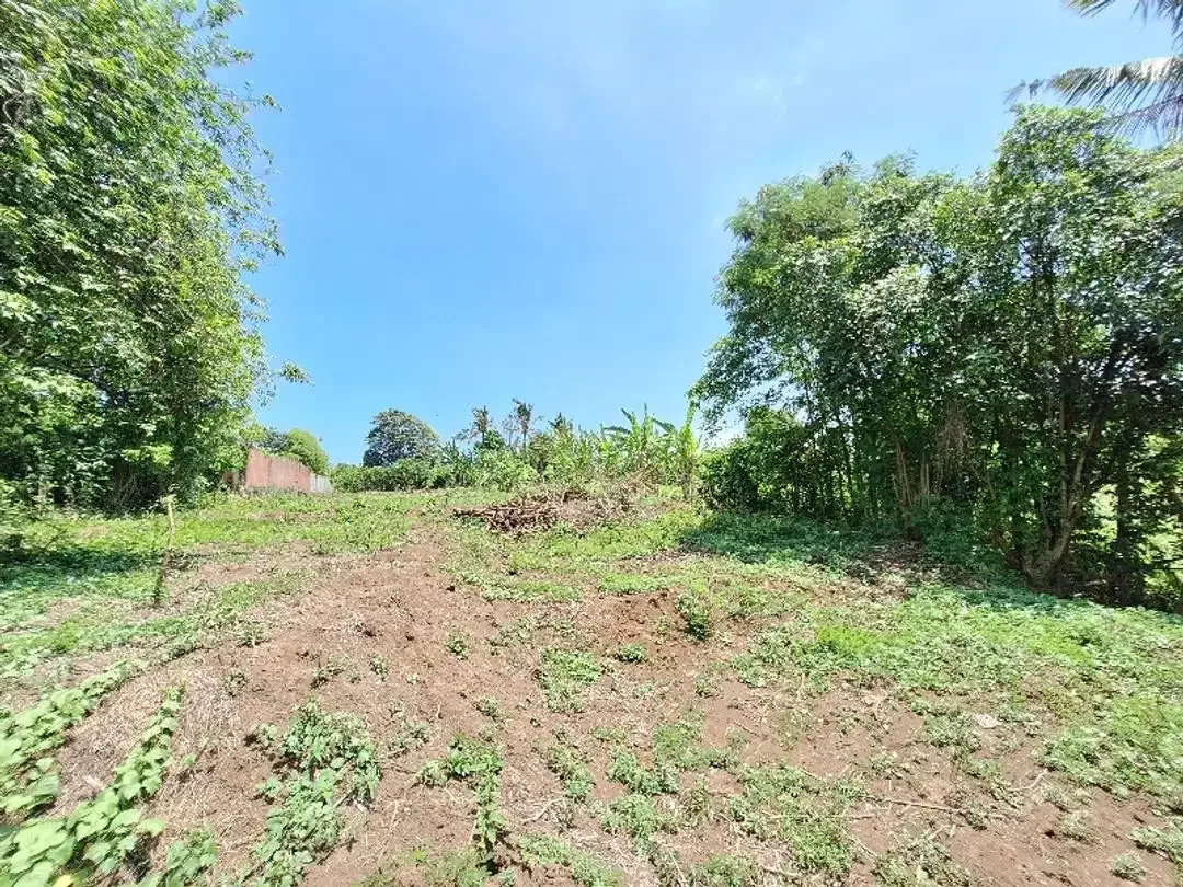Tanah Disewakan atau Dijual  Dekat Pantai di Permata Pering - Saba - Image 6 of 10