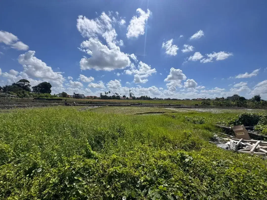 HOT DEAL TANAH CEMAGI – INVESTASI PREMIUM BALI - Image 1 of 5