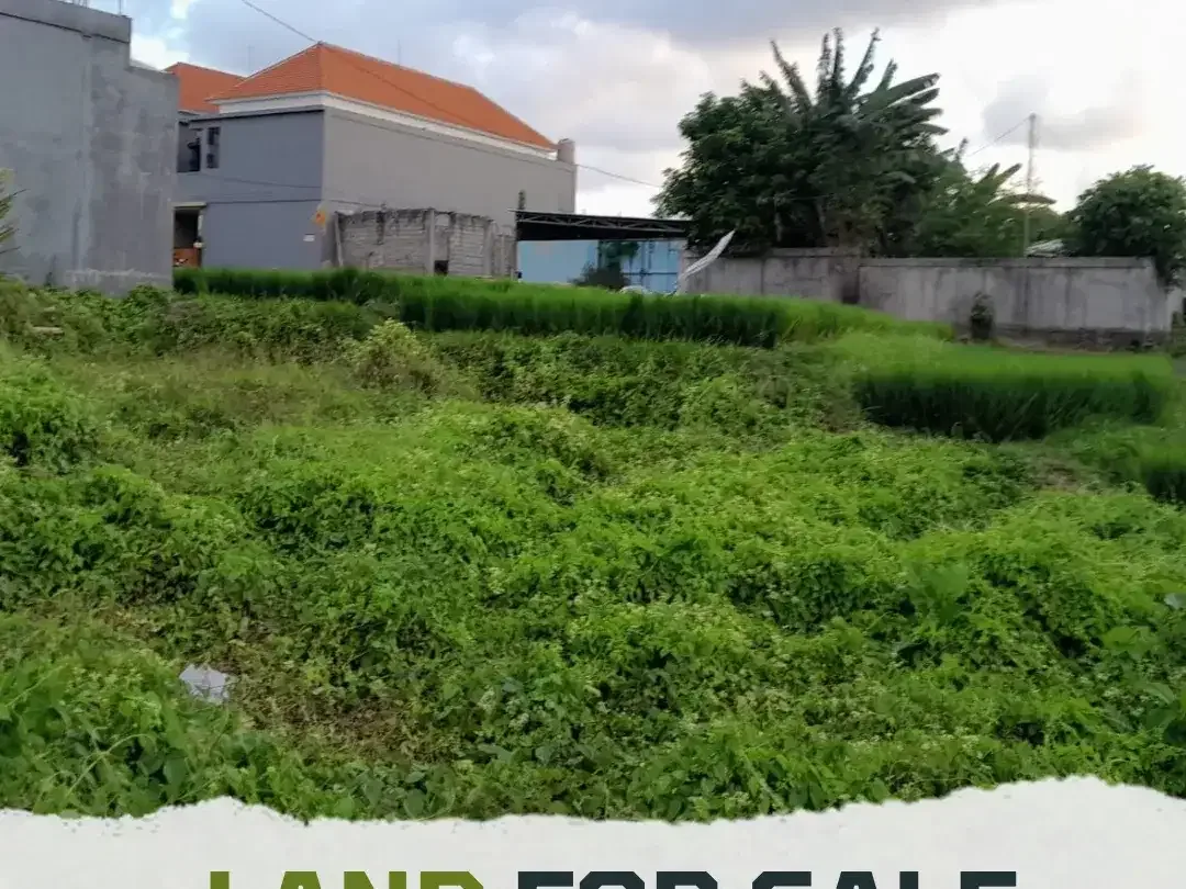 Dijual Tanah full view sawah super langka siap Bangun Buduk - Tumbak Bayuh Badung Bali - Image 1 of 5