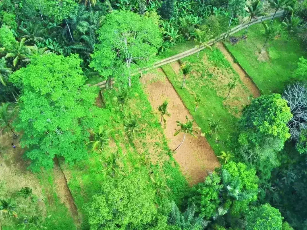 Tanah jungle payangan ubud - Image 2 of 10