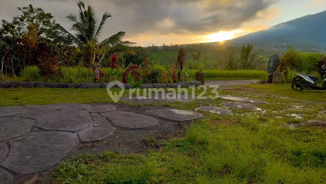 Dijual Buc Villa dan Resto di Penebel Tabanan - Image 2 of 4