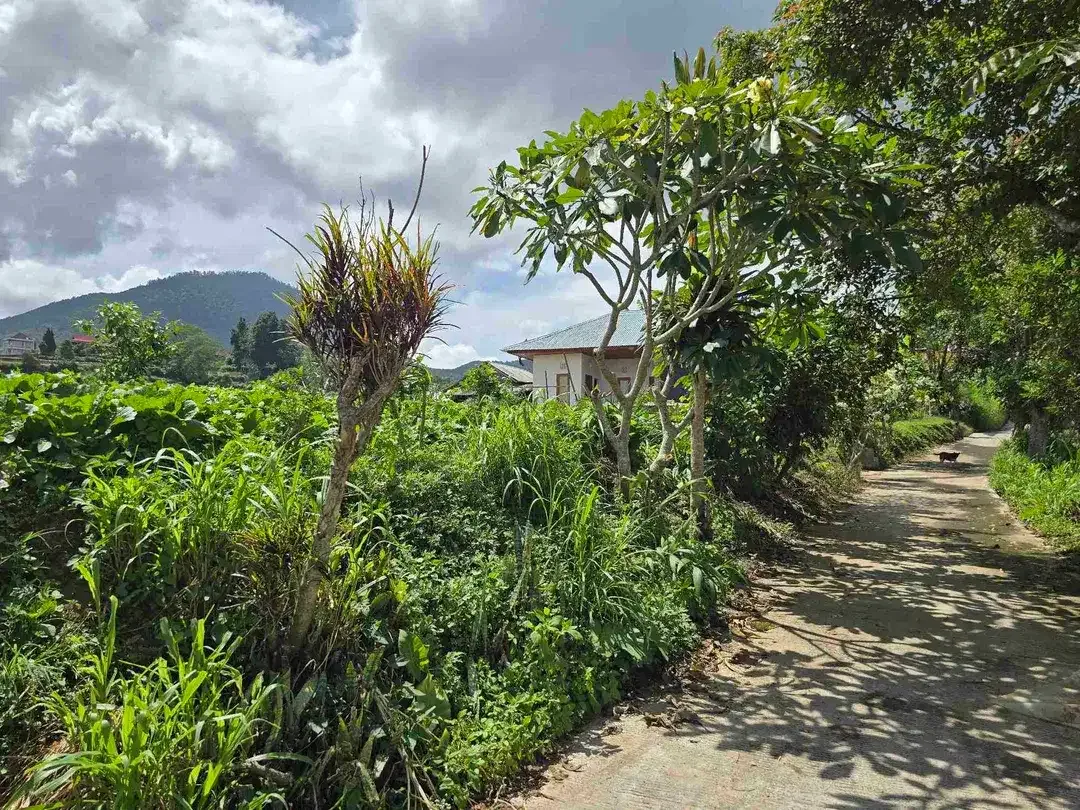 Dijual tanah view istimewa exotik lembah dan gunung di bedugul bali - Image 7 of 10