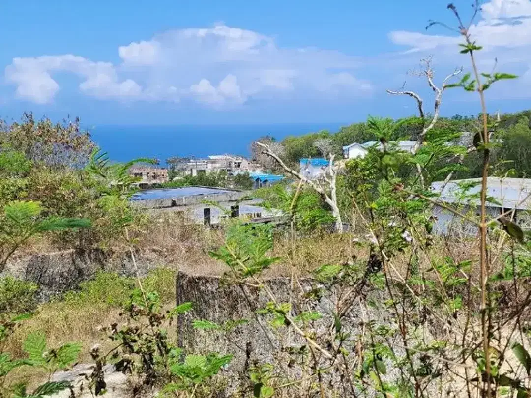 TANAH SIAP BANGUN OCEAN VIEW 1,64 HA DI BELIMBING SARI PECATU BADUNG, BALI - Image 4 of 10