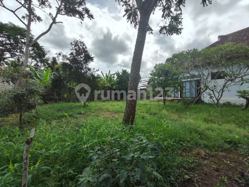Dijual Tanah+Kantor Ubud - Image 2 of 4