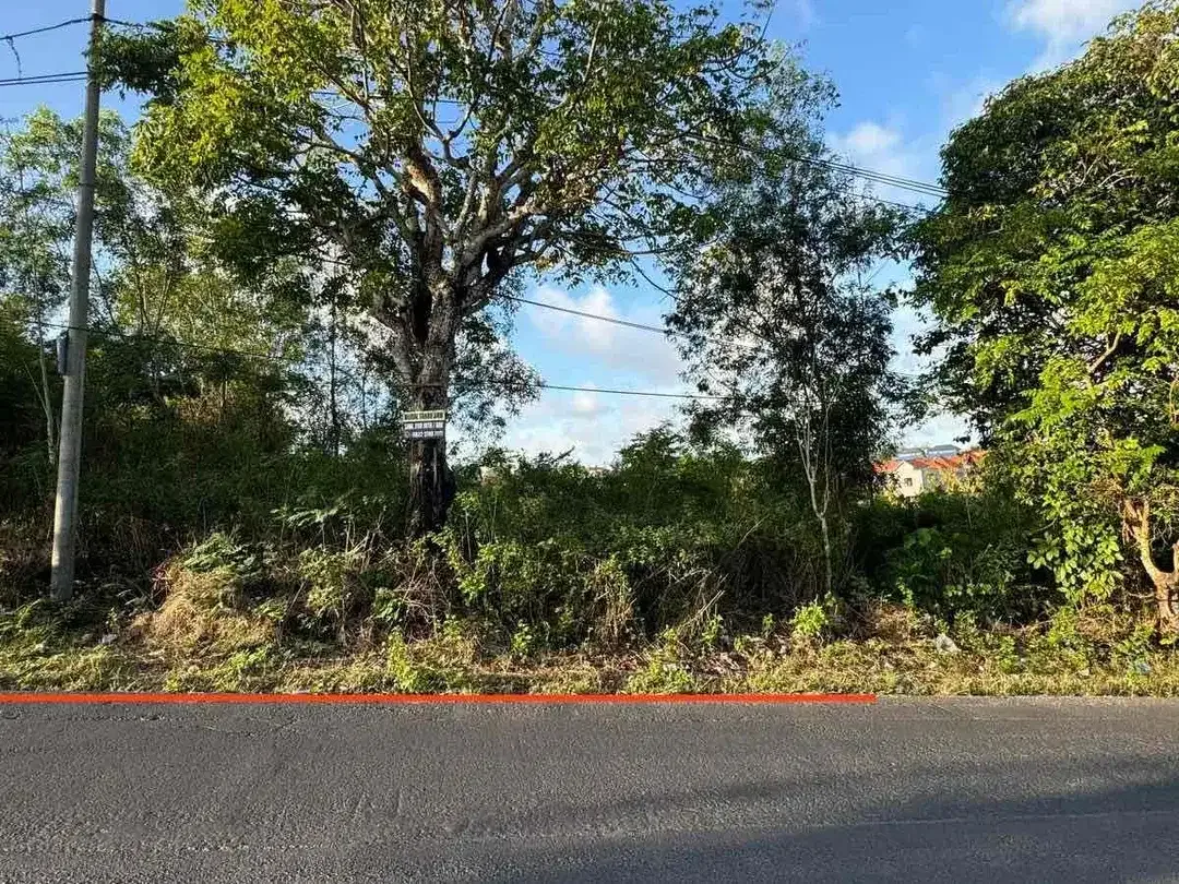 Tanah MURAH Jl Utama Dharmawangsa Deretan Pepito Express Kutuh - Image 5 of 10