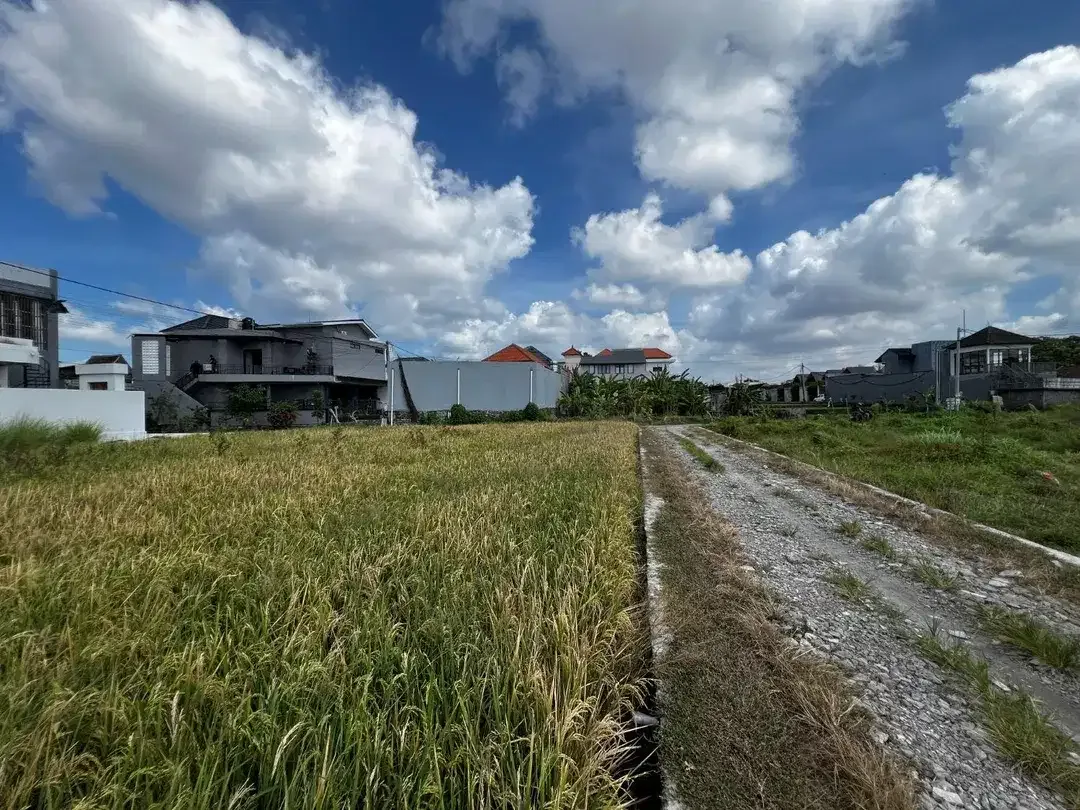 Tanah Kedampang Denpasar Bali - Image 9 of 10
