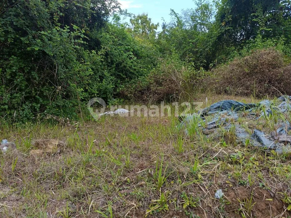 For Sale Land 3 Minute Drive To Central Lovina - Image 3 of 4