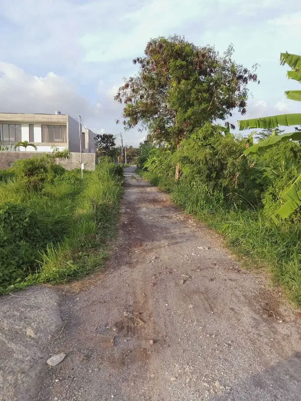 HOT LISTING, DIJUAL TANAH LINGKUNGAN VILLA LOKASI BERAWA - Image 3 of 5