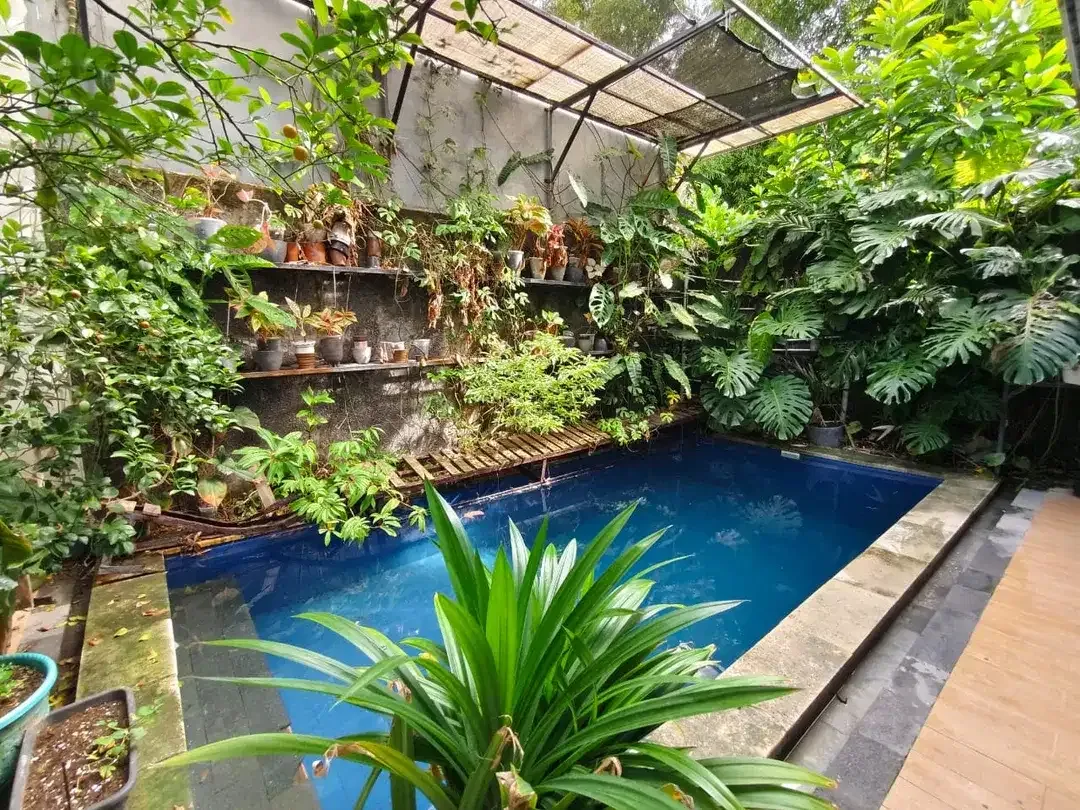 rumah semi villa + pool di jimbaran,lingk perumahan,dkt tol, pasar - Image 1 of 10