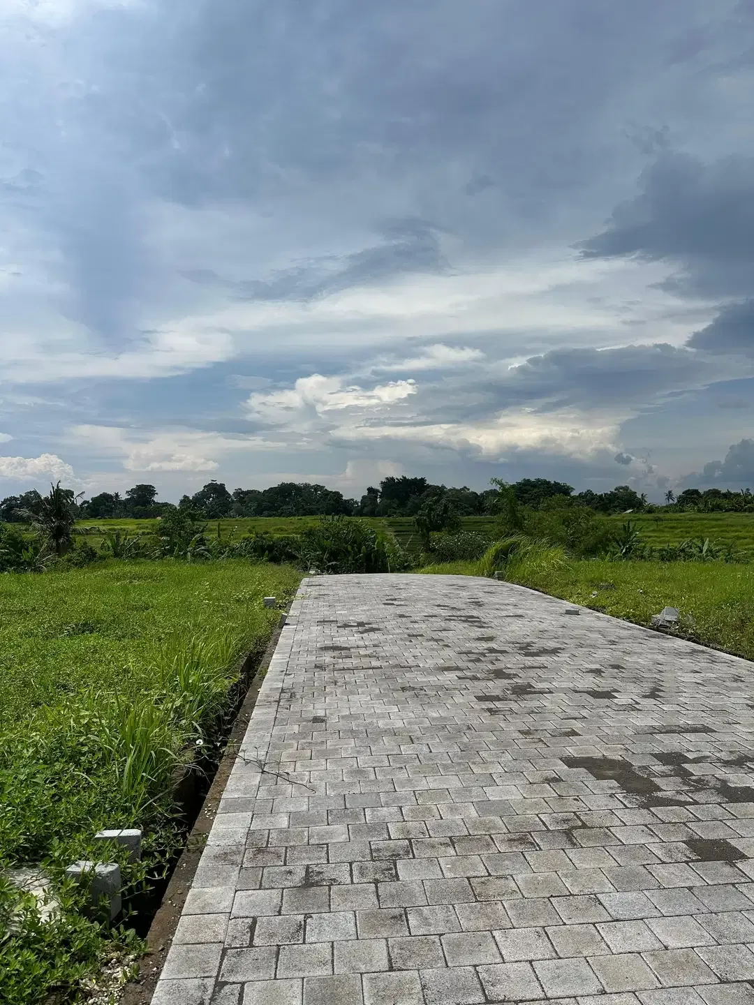 KEDUNGU LAND FOR SALE NEAR NUANU LUNA BEACH CLUB - Image 5 of 10