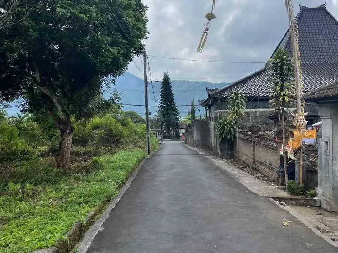Dijual tanah lokasi PREMIUM di bedugul ( sebelah hotel the danau bedugul ) - Image 3 of 10