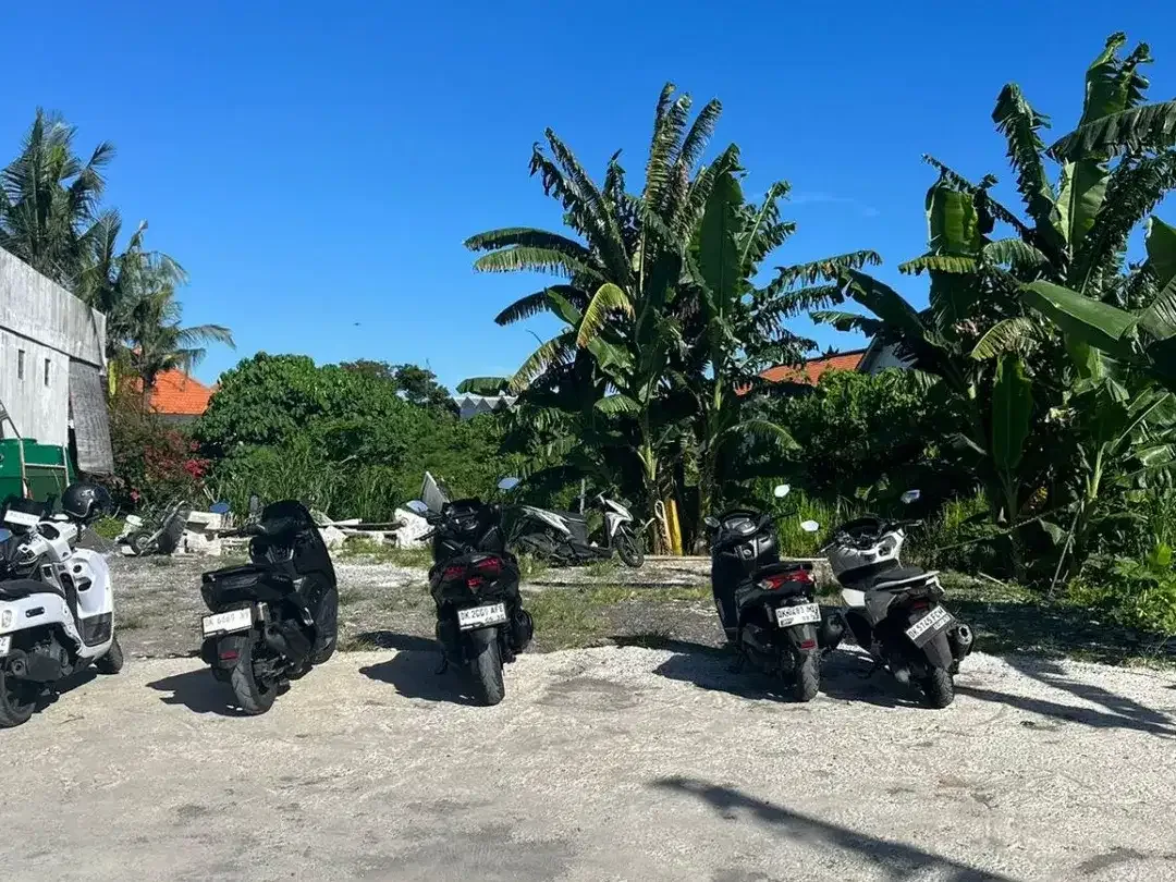 Tanah Pantai Batubolong Canggu - Image 5 of 8