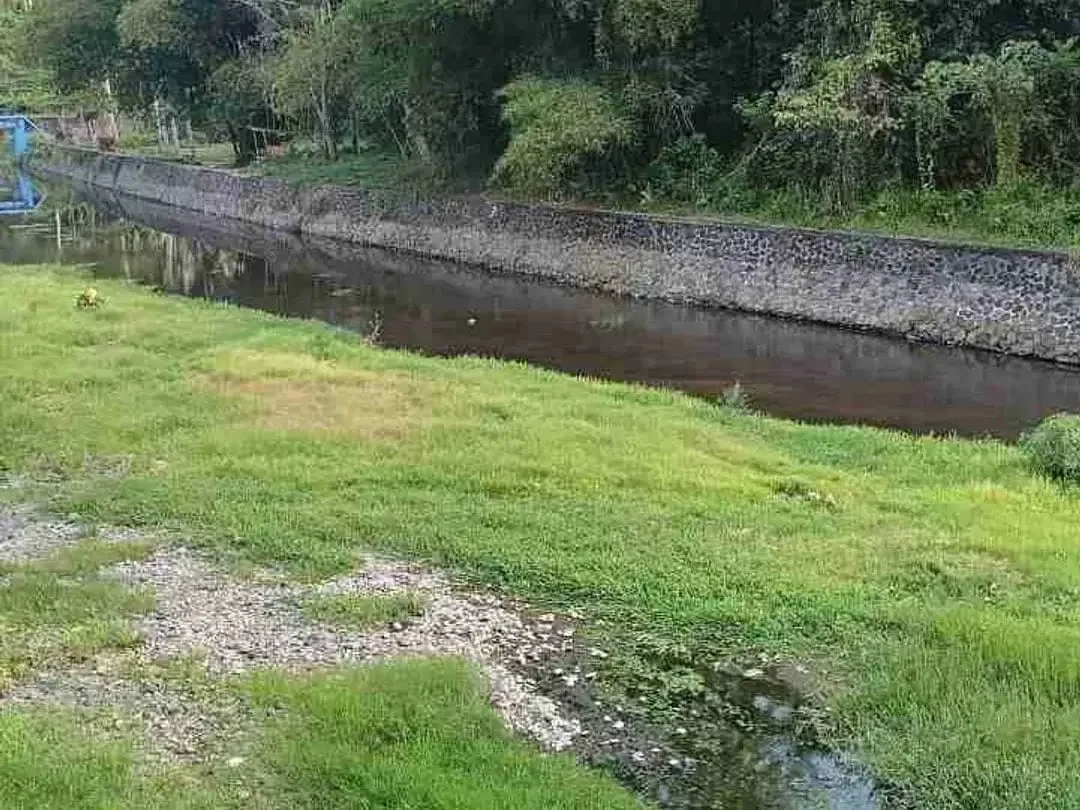 Lahan Langka indah plot kecil siangan gianyar SHM - Image 2 of 10