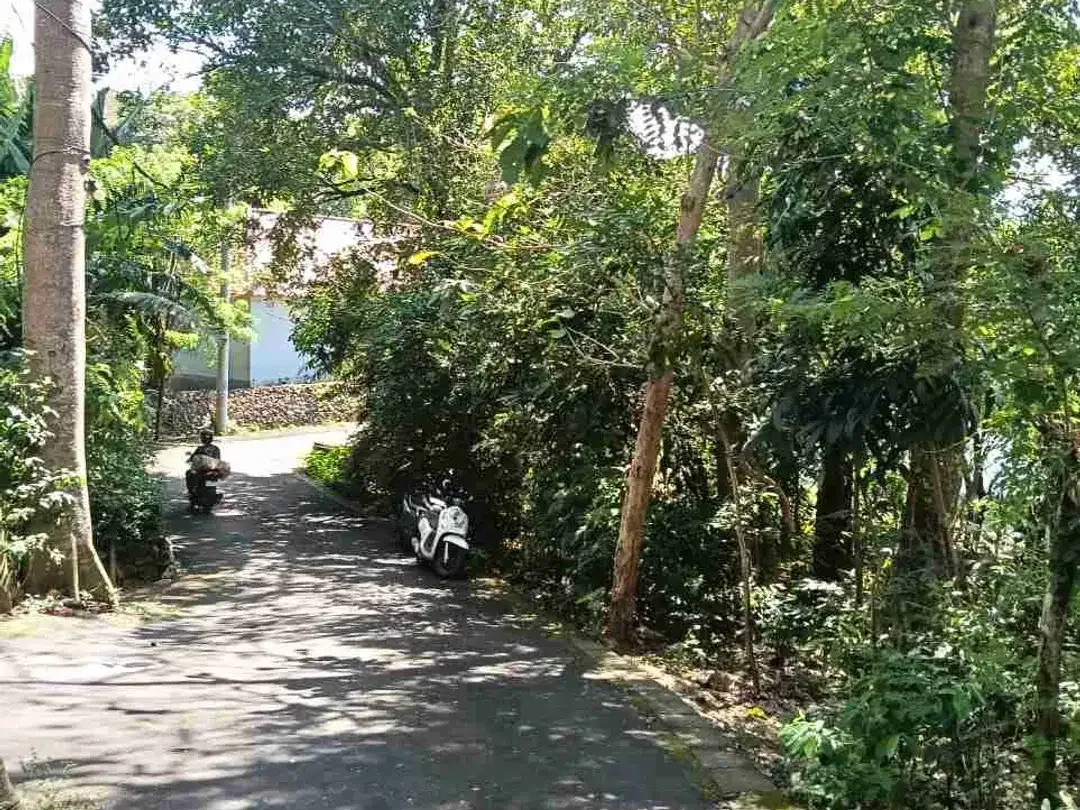 dijual tanah 26,77 are dekat Savaya villa Pecatu IDR 550 juta /are - Image 1 of 10