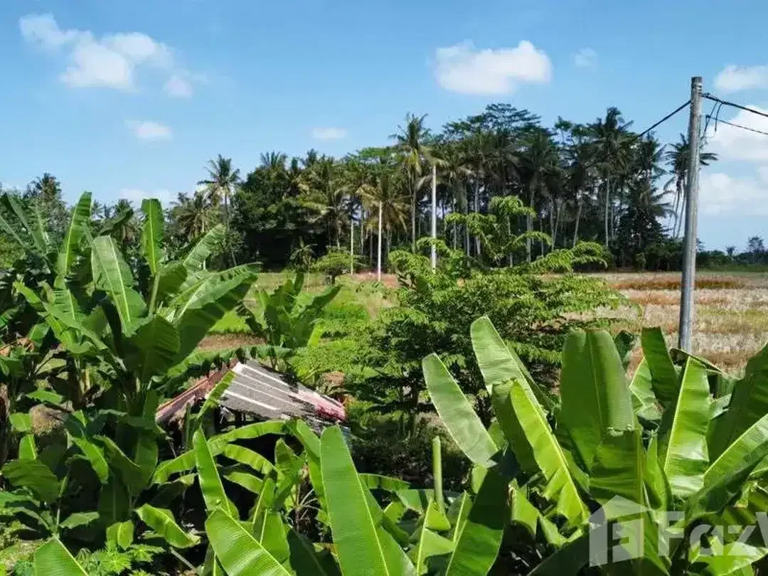 3 Bedroom Villa for sale in Mengwi, Bali - Image 8 of 10