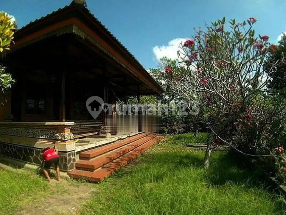 Hot Deal Investasi Menjanjikan Untuk Para Investor Puri Tabanan Bali - Image 4 of 4
