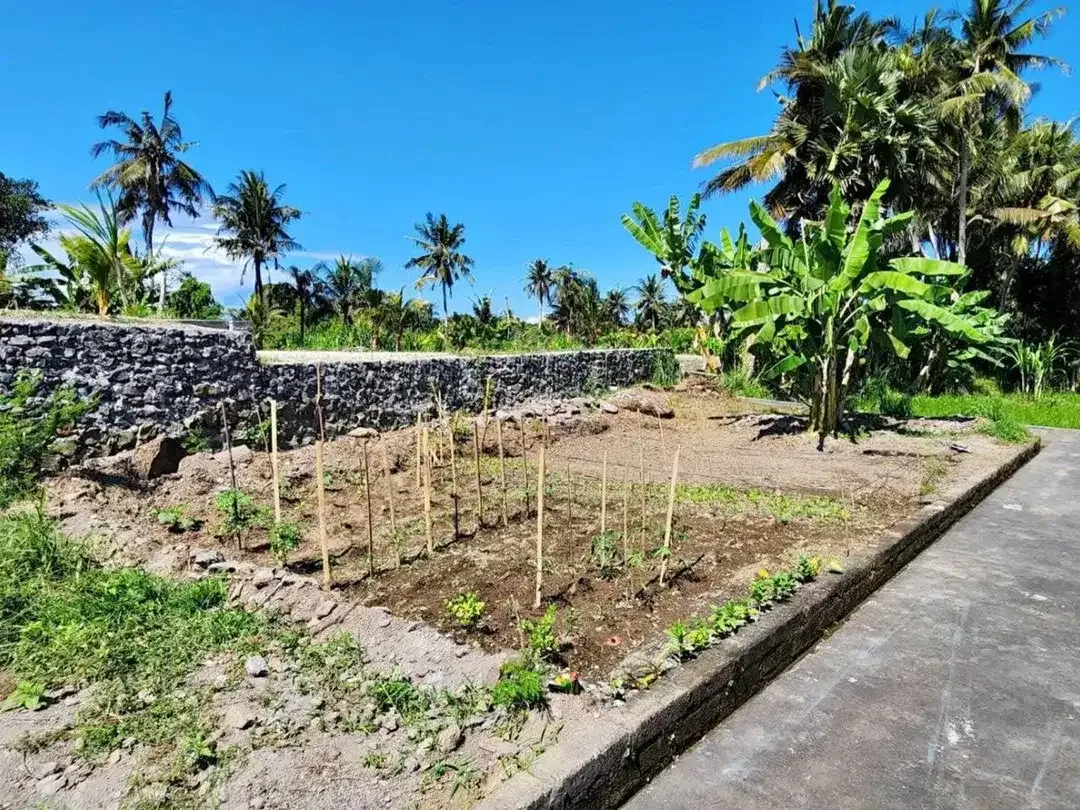 Dijual Tanah Siap Bangun - Berlokasi di Pering, Idabagus Mantra, Gianyar, Bali - Image 4 of 4