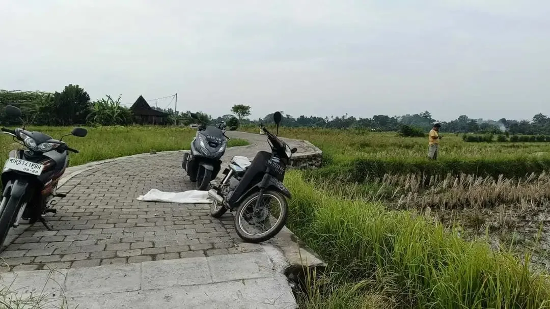 Tanah View Sawah di Ubud Gianyar, Cocok untuk Villa atau Investasi - Image 4 of 7
