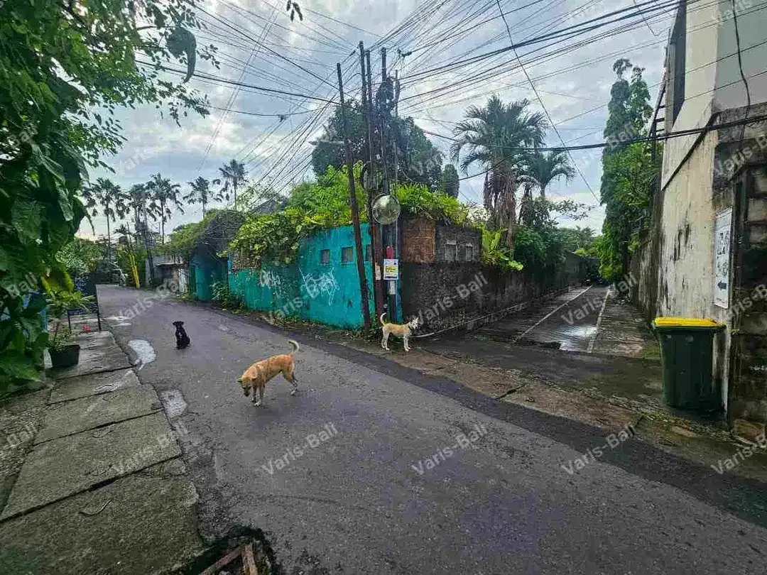 DIJUAL TANAH SEMINYAK BALI - Image 2 of 4