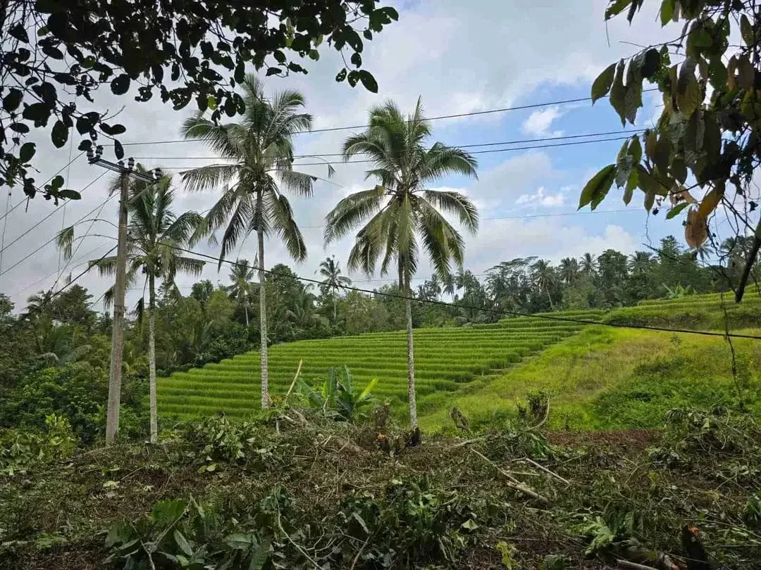 tanah kebun sangat murah dengan view sawah, gunung dan los sungai di tabanan bali - Image 4 of 10