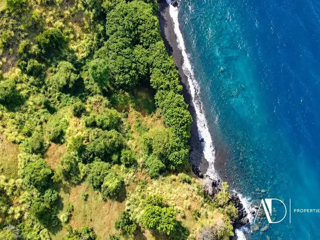 FREEHOLD OCEAN VIEWS LARGE PLOT OF LAND IN TULAMBEN - Image 7 of 7