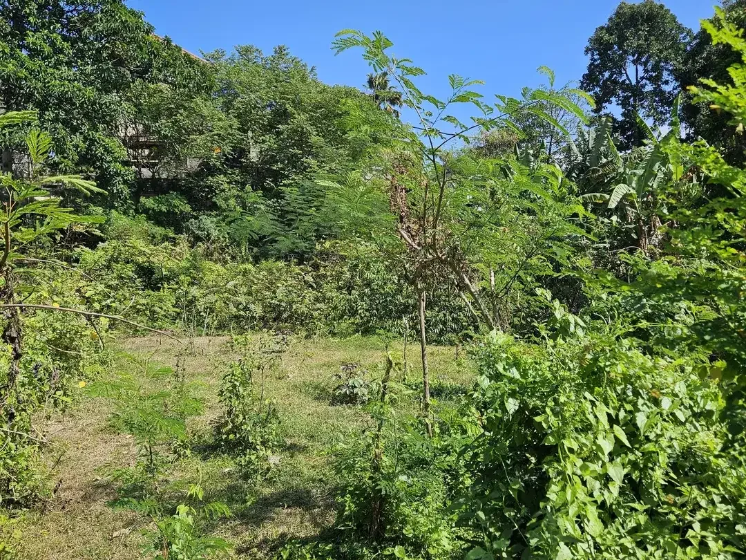 Prime Land Opportunity - Freehold Land in Strategic Kesiman Kertalangu - Image 4 of 9