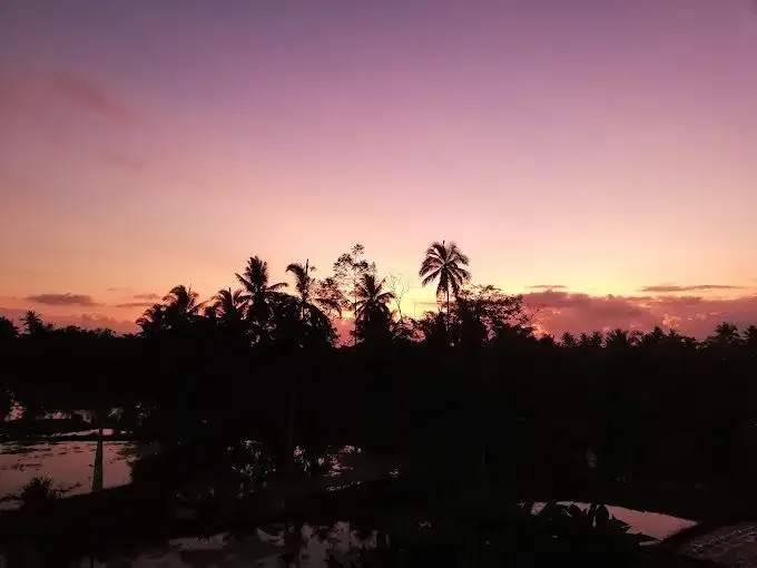 FOR SALE FREEHOLD VILLA KOMPLEKS LOCATED AT STRATEGIC AREA IN UBUD - Image 9 of 9