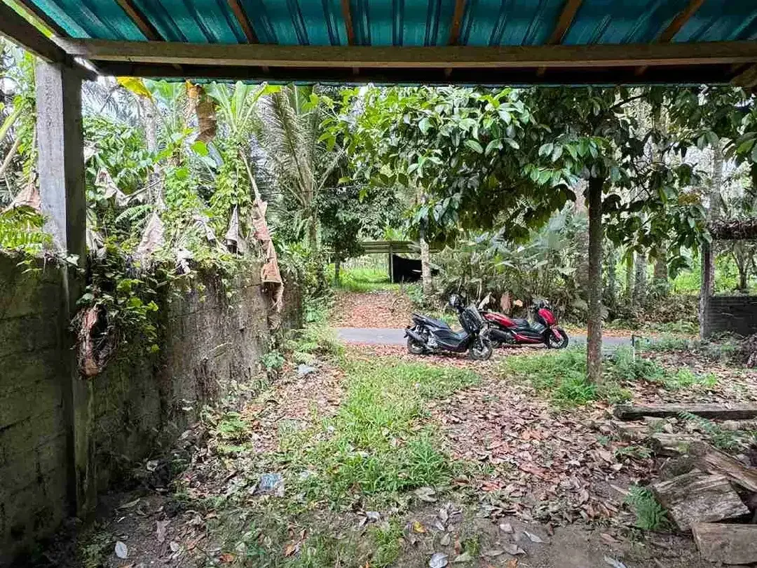 Tanah 212m² Lingkungan Villa Kelusa Ubud - Image 2 of 8