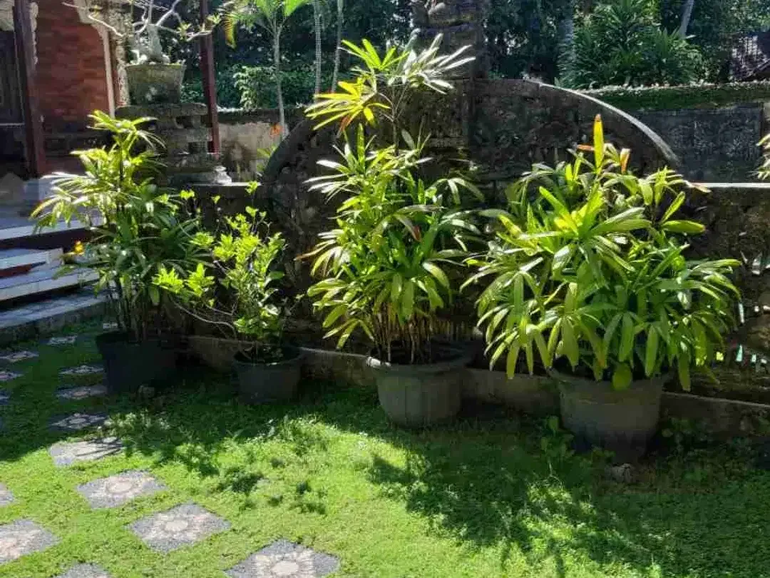 villa beachside luas balinesse style  kesari sanur bali - Image 4 of 10