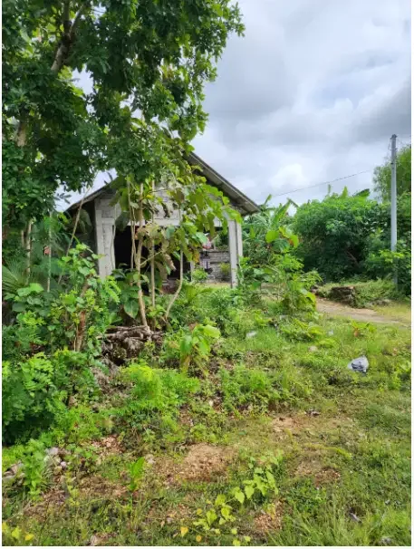 Land For Lease at Kutuh Pandawa - Image 3 of 8