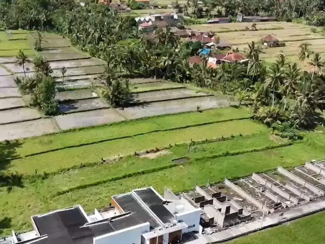Prime 3.130 sqm of Leasehold Land with Stunning Rice Field Views Ubud - Image 3 of 6
