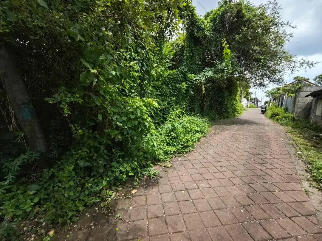 Tanah STRATEGIS Lingkungan Villa Jl Bukit Damai Jimbaran - Image 7 of 8