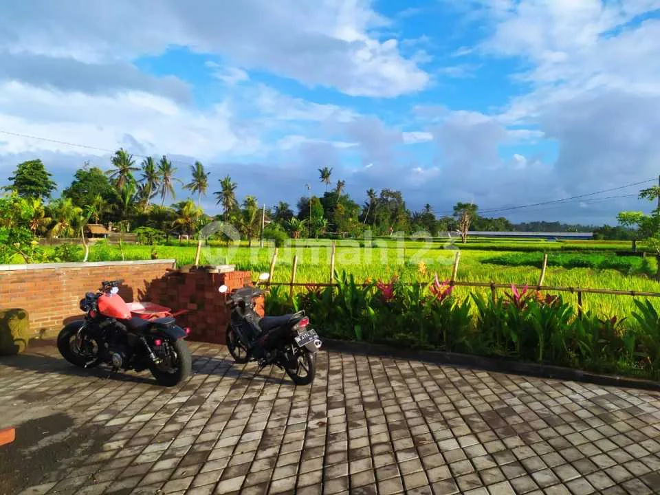 For Rent Villa Ubud Rice Field View 10 Menutes From Mongkey Forest Sentral Ubud Avalaible Bungalow, 1 Bedroom Rice Field View 10 Menutes From Mongkey Forest Sentral Ubud Gianyar You Feel The Natural - Image 4 of 4
