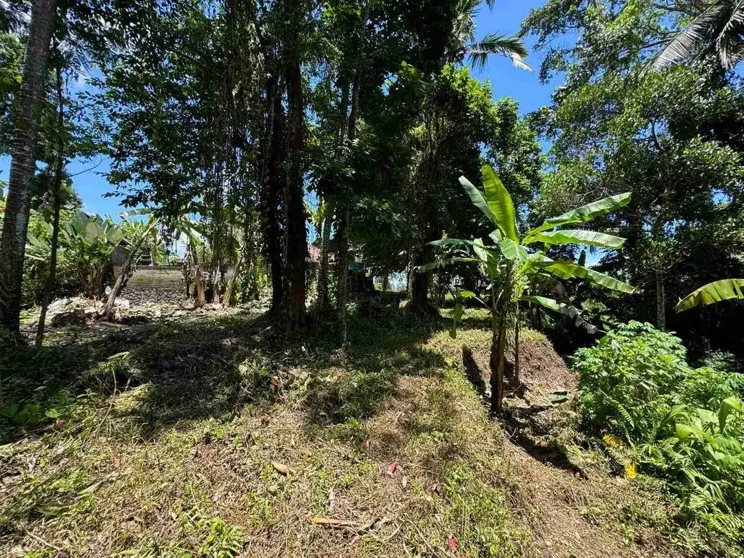 Siap Bangun Vila, Tanah Datar View Sawah di Ubud Gianyar - Image 2 of 10