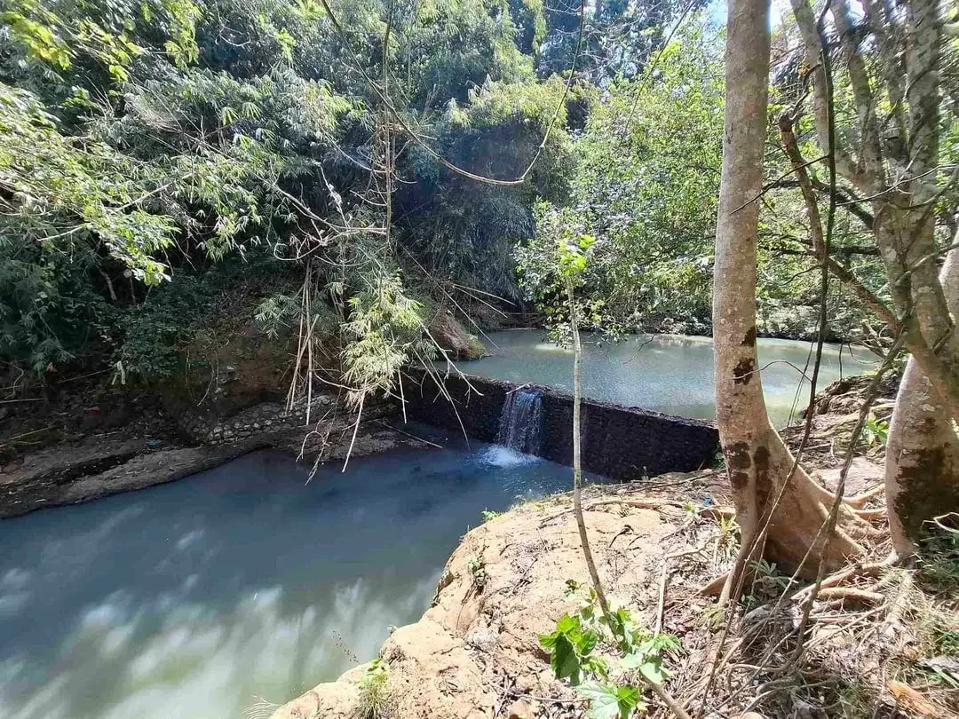 dijual tanah los sungai jernih berbatu lokasi sangat strategis dekat dengan jalan denpasar gilimanuk dijual di bawah harga pasar - Image 2 of 10