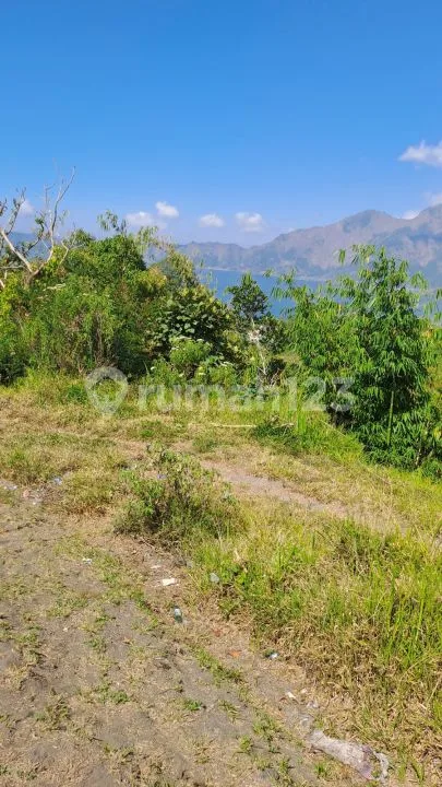 Jual Tanah Kintamani - Image 4 of 4