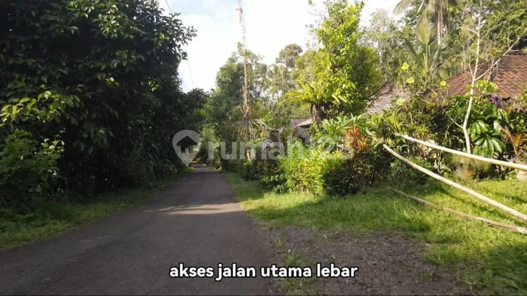 Tanah View Terasering Sawah Bonus Sumber Mata Air di Tabanan - Image 4 of 4