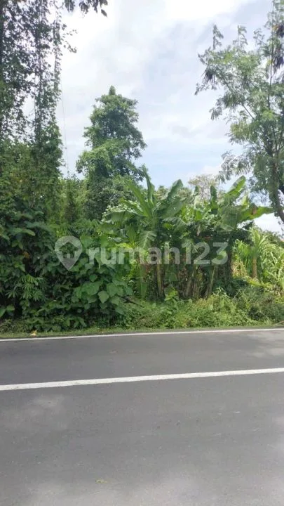 Tanah Bagus Pinggir Jalan Cocok Untuk Usaha Dan Komplex Villa - Image 4 of 4